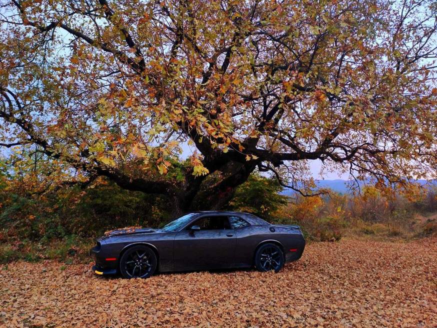 Dodge Challenger