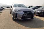 Lexus
UX250h